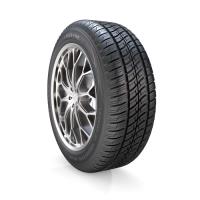 لاستیک 205/55R16 یزدتایر نپتون NEPTUNE تولید 2024 یک حلقه